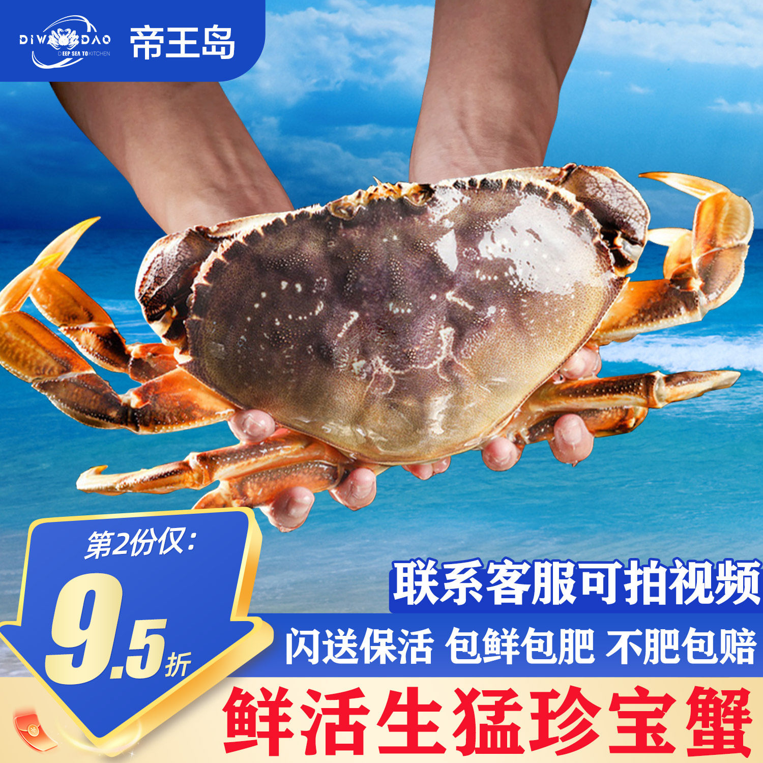 【鲜活发货】珍宝蟹面包蟹加拿大进口超大特大新鲜大螃蟹鲜活到家