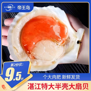 半壳大扇贝新鲜速冻超大500g5 7个蒜蓉粉丝蒸扇贝海鲜水产烧烤用