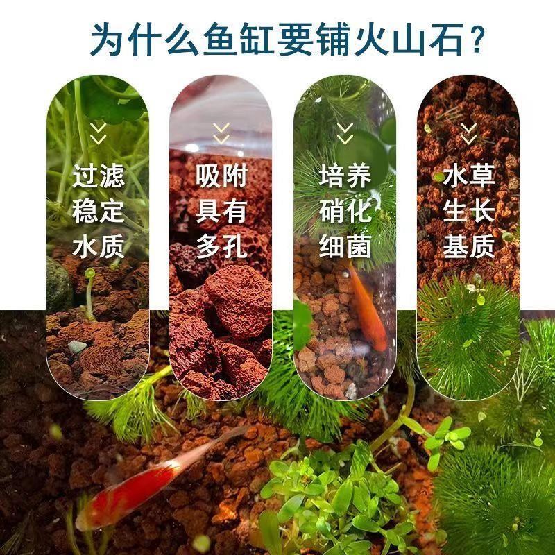 火山石鱼缸原生态溪流石大块乌龟缸底砂颗粒鱼缸造景生态全套