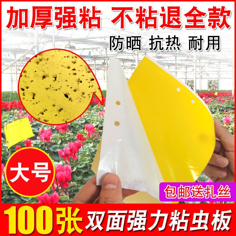 速发粘虫板黄板诱虫板小贴双面黄色沾黏蚊胶杀黑虫子灭纸飞虫果蝇