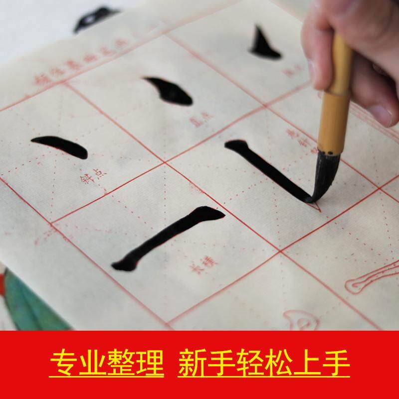 速发颜真卿楷书入门教程 毛笔初学者基础笔画练习 中楷颜体描