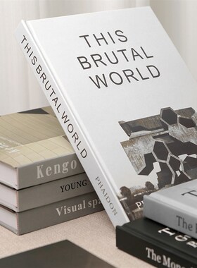 速发简饰时尚外书书艺术假书拍摄道具书样板房文柜装约品摆件