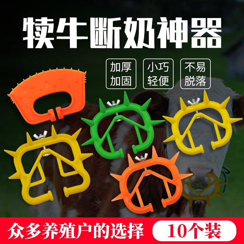 加厚牛鼻刺圈犊牛断奶器小牛忌奶畜牧/养殖器械