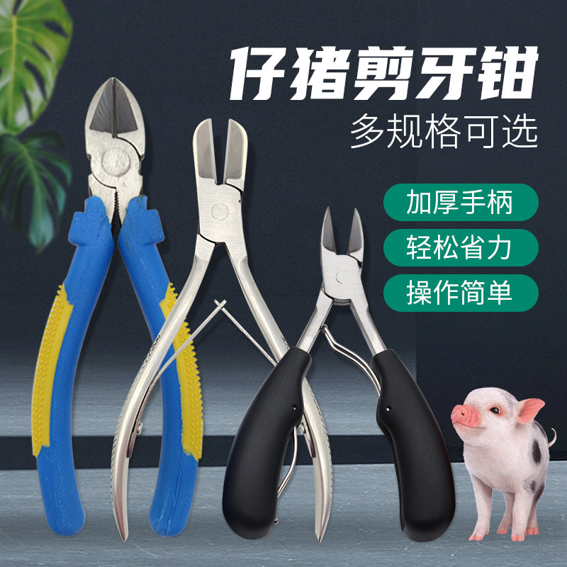 猪用剪牙钳仔猪不锈钢剪牙钳断牙钳兽用剪牙器小猪兔子宠物断齿钳