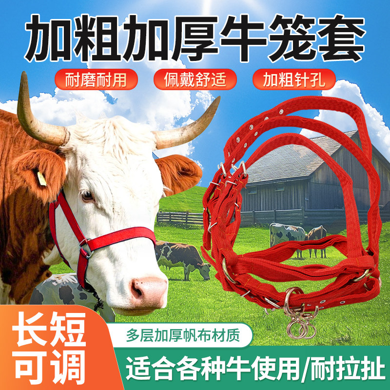 牛笼头套牛头套栓牛绳子缰绳栓牛笼头小牛大牛龙头牛笼嘴牛绳子