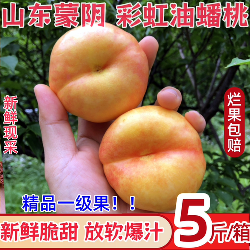 山东蒙阴彩虹黄金油蟠桃5斤新鲜桃子水果当季整箱现摘现发油扁桃