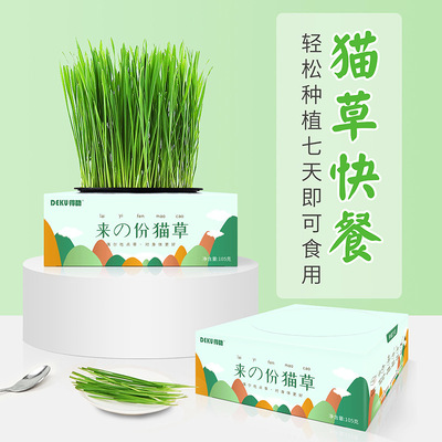 得酷猫草绿色水培猫薄荷猫零食