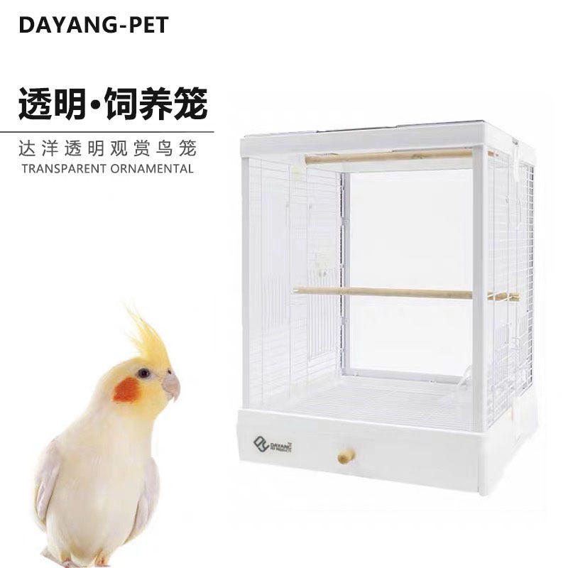 达洋玻璃鸟笼B4001全新系列小型鹦鹉笼玄风虎皮牡丹