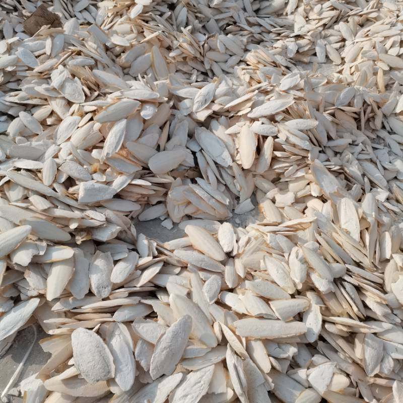 水洗墨鱼骨海螵蛸乌贼骨各种规格源头厂家鸟玩具宠物磨牙现货