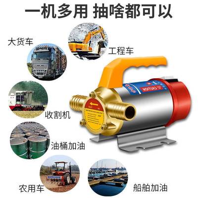 油水两用电动抽油泵12V24V220V伏直流高压水泵柴油泵加油机抽油器