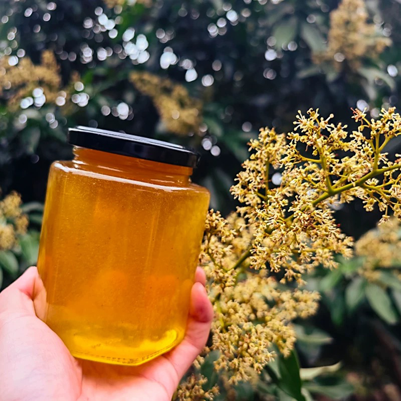 纯正鸭脚木蜜正宗野生冬蜜天然结晶原蜜土蜂蜜零添加自然成熟蜂蜜