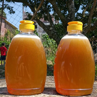 正宗高州荔枝蜜纯正龙眼蜜天然原蜜深山土蜂蜜零添加成熟百花蜂糖