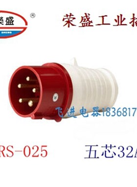 荣盛CEIRSIEC工业防水插头RS-025 航空工业插头 5芯32A 380V 公头