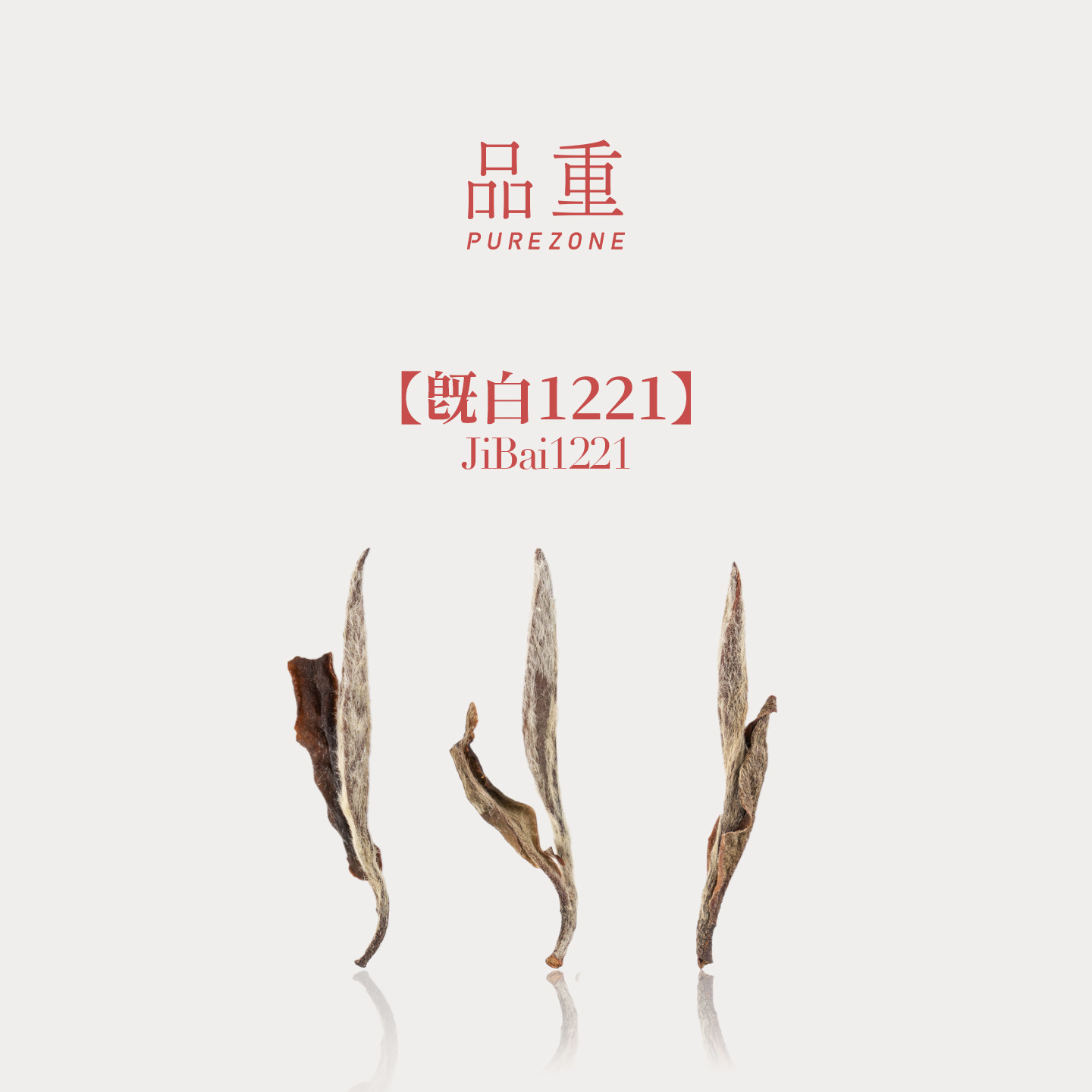 品重『既白1221』2012年牡丹王特级白牡丹福鼎白茶方家山14年陈