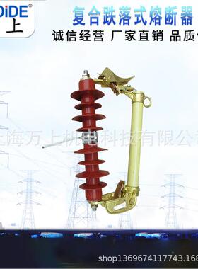 户R外高压AIG跌落熔断器式RW6-66/200AR硅橡胶柱上保险开关HW6RW5