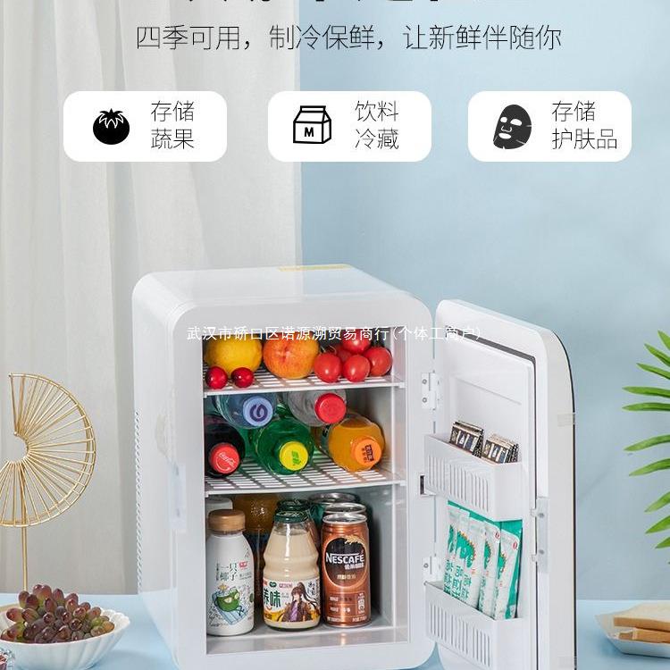 迷你小冰箱载小型家用宿舍办公室学生母乳车家两用冷藏单人用冷冻
