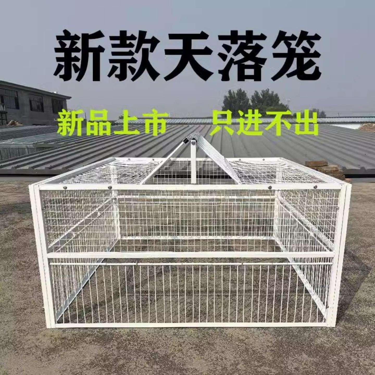 鸽子抓捕器天落笼家用屋顶厂房