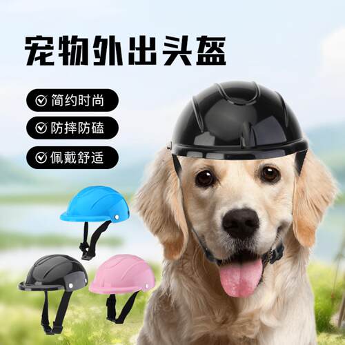狗狗头盔小型犬新款宠物安全帽猫