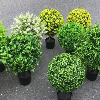 跨境植热卖仿真塑料盆景财绿植发装饰室内客厅摆果件物尤加GVJ利