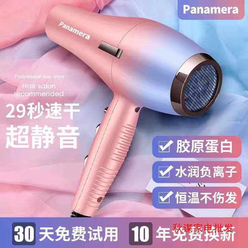 大功率吹风机发廊专用家用护发电理发店速干负离子大风力静音风筒