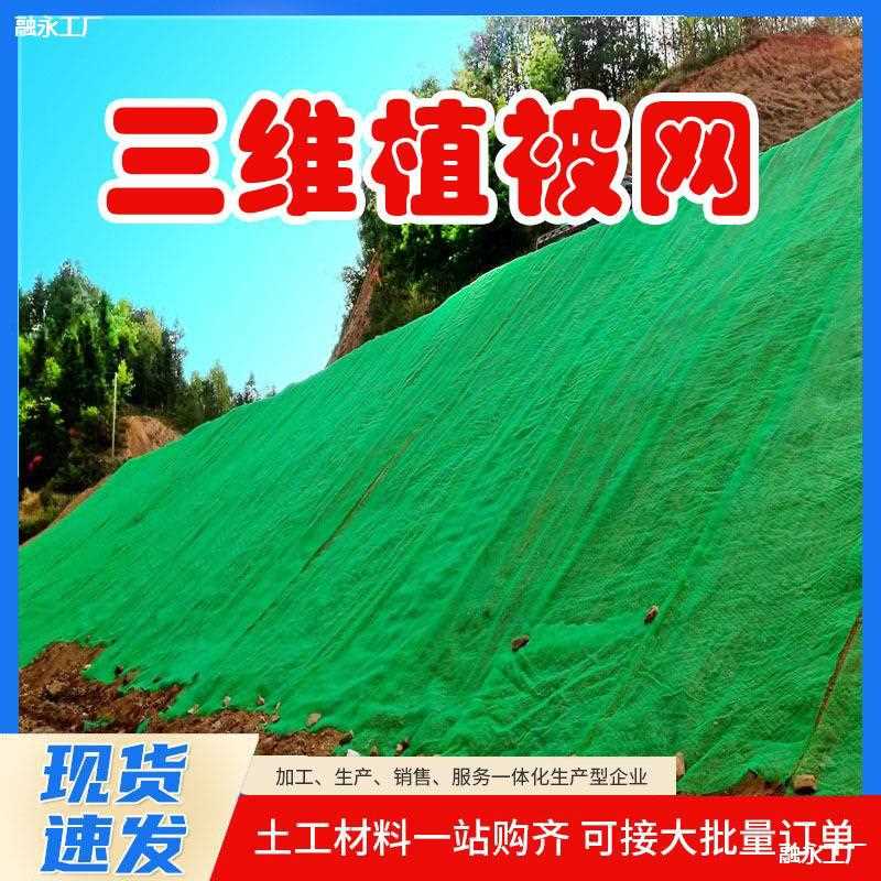 三维植被网绿化植草网边坡固土三维土工网垫护坡生态绿色植被网
