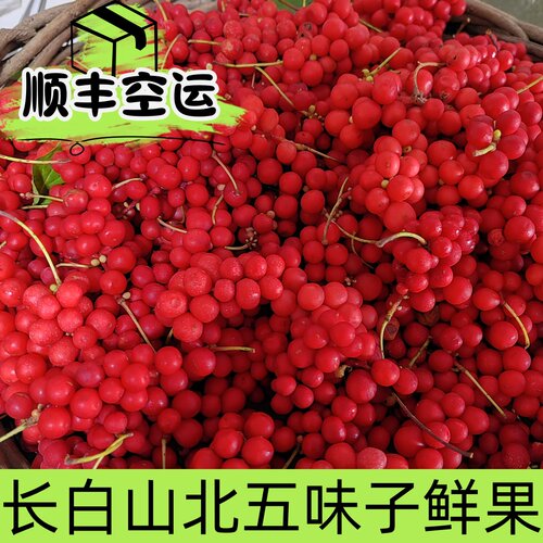 四斤长白山特产新鲜北五味子鲜果现摘现发泡酿酒酵素煲汤原料顺丰