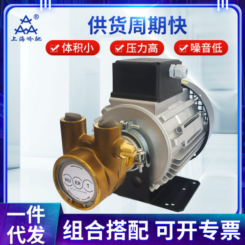 PRG8AS-550W230V全旋转高压叶片泵 纽特nuter增压泵