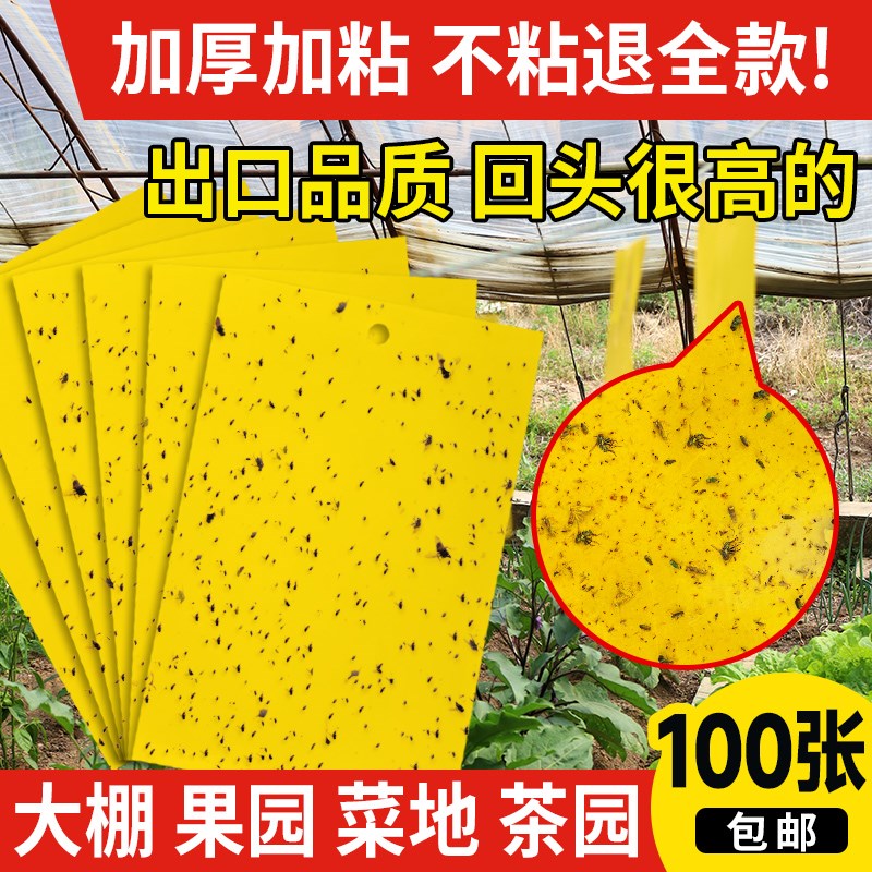 速发粘虫板诱板双面大棚专用诱虫粘小飞虫果园果蝇黄器捕灭小黑飞