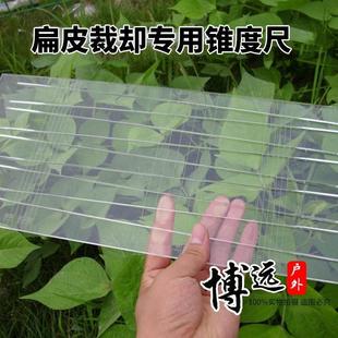 扁皮裁切亚克力扁皮锥度尺子透明水晶扁皮筋订做加厚宽尺