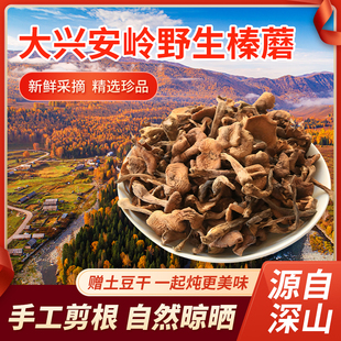 榛蘑东北野生蘑菇大兴安岭2025年新货自然晾晒无杂质干货特产礼盒