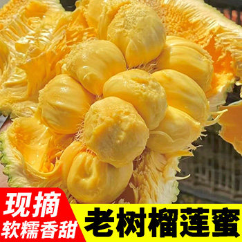 新鲜现摘榴莲蜜水果生鲜软糯香甜热带巴掌菠萝密整个饱满带壳海南
