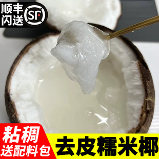 正宗即食糯米椰网红吃播同款现摘新鲜椰子马卡普诺水果去皮糯米椰