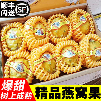 广西特产燕窝果麒麟果黄色火龙果金色皮新鲜大水果应季节日礼盒