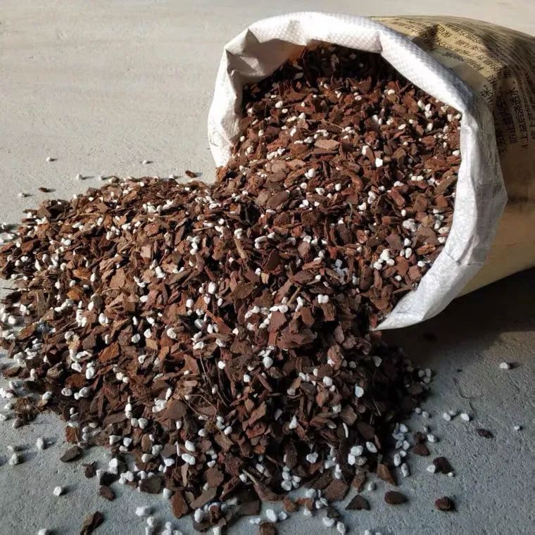 【48小时发货】兰花专用盖面土有机植料催芽催根护茎土包邮肖氏诱