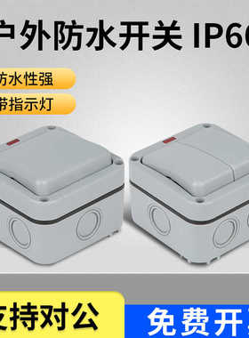 KAKN防水盒户内外双开开关室外花园浴室工地单双控带指示灯明装防