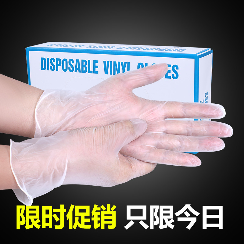 一次性手套PVC餐饮乳胶橡胶可触屏透明无粉防水贴手100只盒装高弹