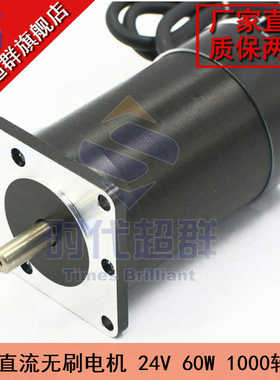 57直流刷电机 24V 刷直流电机 57BL95S06-210TF9-时代超群