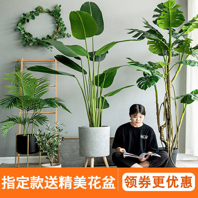 仿真绿植假树天堂鸟仿生植物盆栽摆件高端轻奢室内客厅装饰花造景