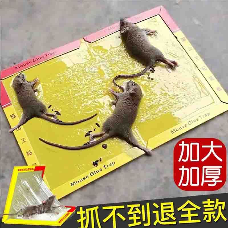 30张强力粘鼠板捉粘大老鼠抓灭鼠笼捕鼠夹神器正家用一窝端黑胶