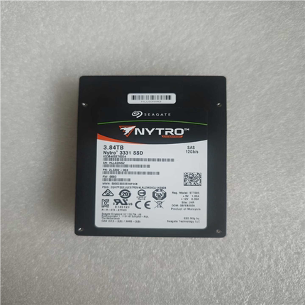 成色 希捷 NYTRO 3.84T 3331 SSD 1(崽崽配件）