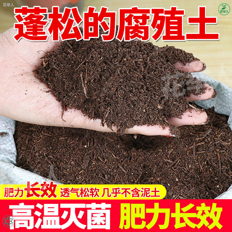 纯松针腐殖土君子兰专用土松针腐叶土腐熟透气兰花天然腐叶松针土
