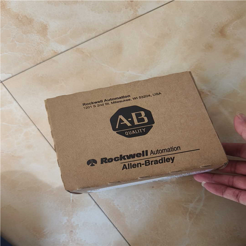 1769-OW16(崽崽配件）