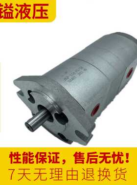 SUORUI液压齿轮泵HGP-11A-F1R/1R 2R 3R 4R 5R 6R 8R双联高压油泵