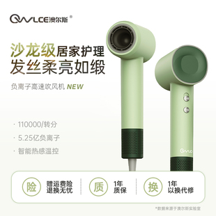 Owlce/澳尔斯电吹风机家用大风力负离子护发速干大功率风筒