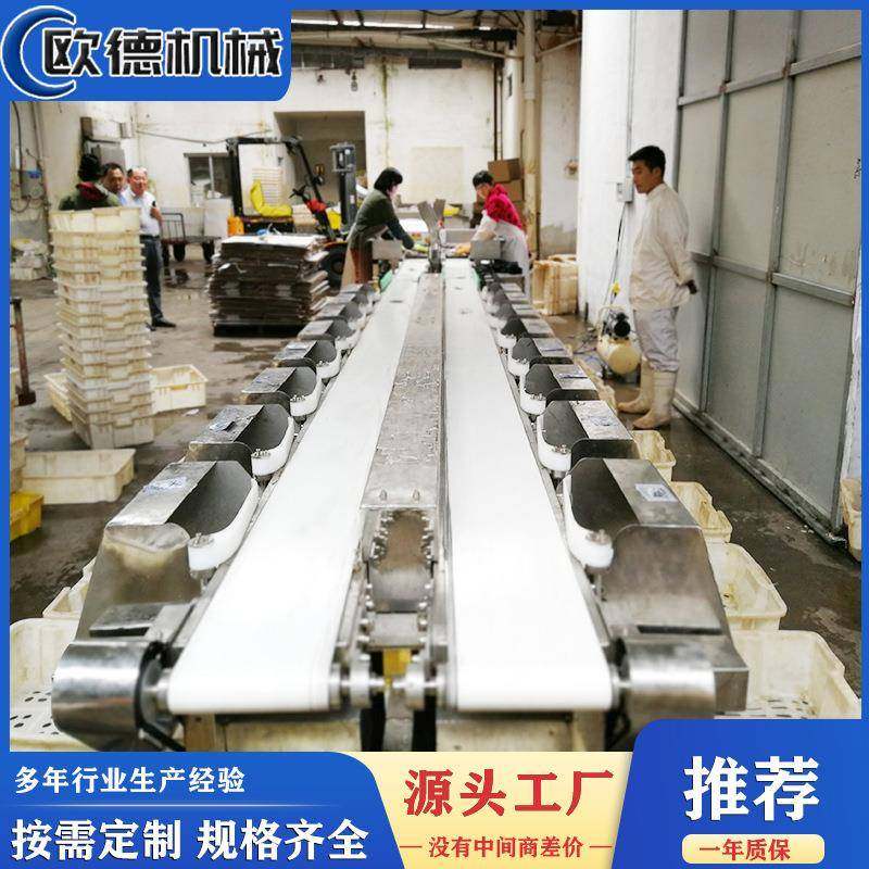 NGB出品质重量分选机全自动鱼鲅口重量分机提高工级作效率,鲜花速递/花卉仿真/绿植园艺,其它园艺用品,淘宝优惠券,粉丝福利购,淘宝优惠卷