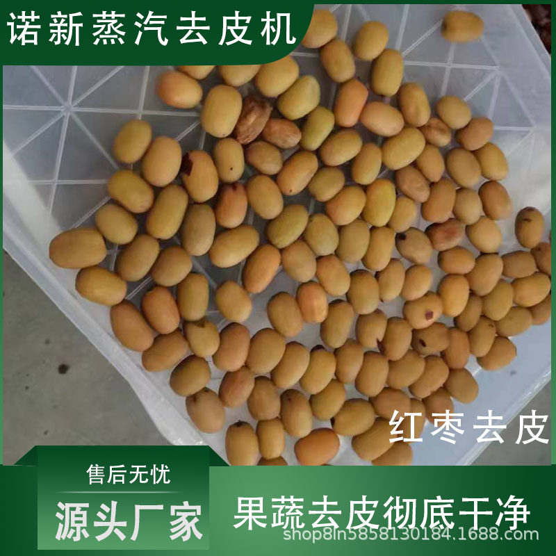红枣蒸汽去皮机 干枣去皮设备 鲜枣脱皮机 全自动果蔬削皮机
