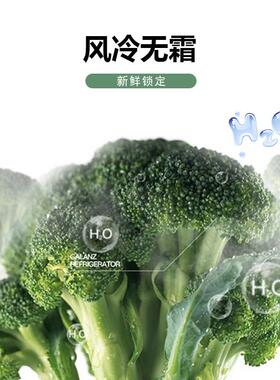 冷星星商用冷四门单温冻冷冰箱厨房冷AWI冻冰柜大容量柜风直冷双