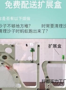 蚂蚁工学坊宠物蚂生蚁城堡家园巢态观察生版便宜人工殖养JMp7jeWn