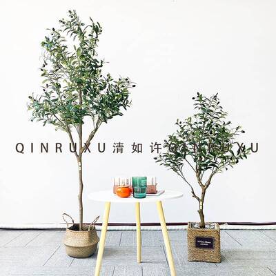 北欧风仿橄仿真橄榄树榄树带果橄榄树落盆真地大型假绿植仿真可拆