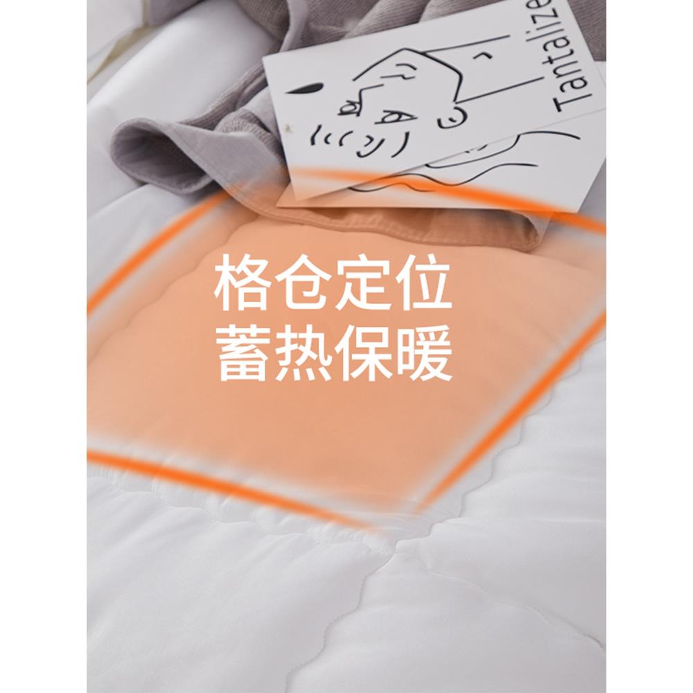 CFX被子冬季单被加厚保冬暖棉被10斤12斤秋季宿舍人学生被芯四通